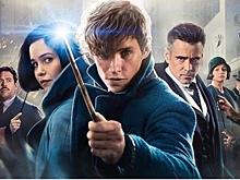 Стало известно, что будет в третьей части "Фантастических тварей"