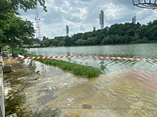 В Краснодаре ликвидировали засор, из-за которого подтопило Дмитриевский сквер