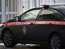 Раскрыты подробности убийства подростками пенсионерки