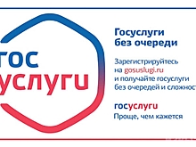 Госавтоинспекция Курской области уведомляет автовладельцев