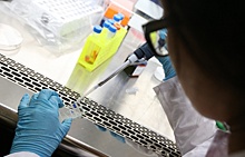 Норвежские ученые создали вакцину против вируса Эбола