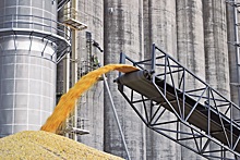 В Челябинской области засеяли пшеницей 971 тыс. га