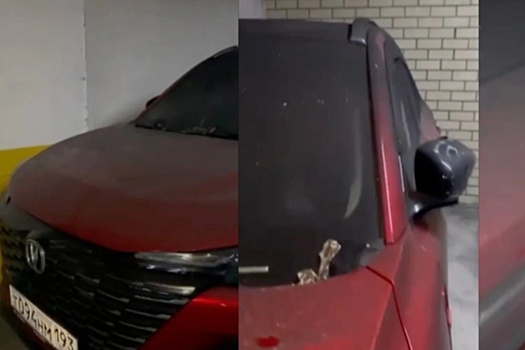 Changan: кроссовер CS55 Plus расплавился не от солнца, а из-за пожара