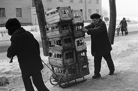 ЕС запускает систему приёма стеклянной и пластиковой тары за деньги