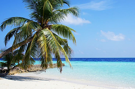 Сибирячка отсудила у «Аэрофлота» 160 тысяч за срыв полета на Мальдивы