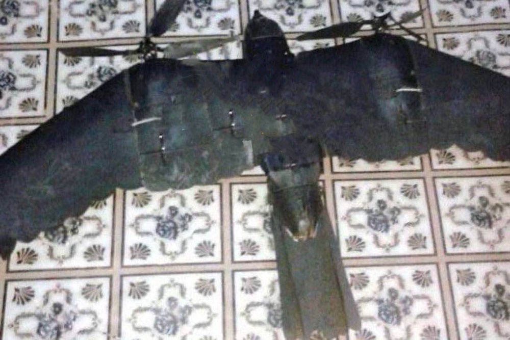 На Украине пожаловались на замаскированные под птиц дроны