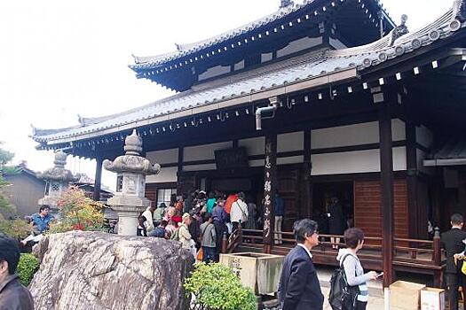 Жители Японии высказали недовольство дурными манерами туристов