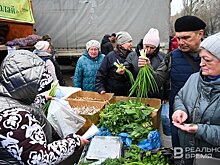 В Казани стартовали сельскохозяйственные ярмарки