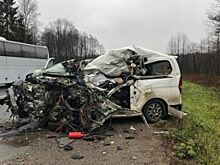 Объявлен сбор средств для трёх девочек, пострадавших в ДТП под Псковом