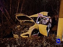 В Тольятти 31-летний мужчина на "Весте" въехал в столб