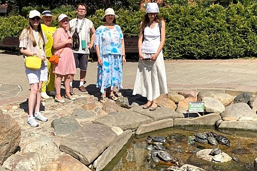 В Савелки в гости к черепахам отправились реабилитанты РЦдИ «Ремесла»