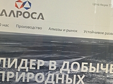 Финансовый директор «Алросы» Игорь Куличик покидает свой пост