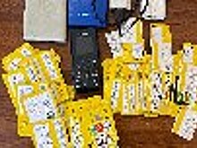 Сотрудниками ИК-20 ГУФСИН России по Приморскому краю пресечена передача крупной партии запрещенных предметов