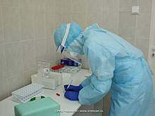 Еще 113 новых случаев COVID-19 зарегистрировали в Нижегородской области