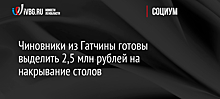 Чиновники из Гатчины готовы выделить 2,5 млн рублей на накрывание столов