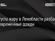 23 августа жару в Ленобласти разбавят кратковременные дожди