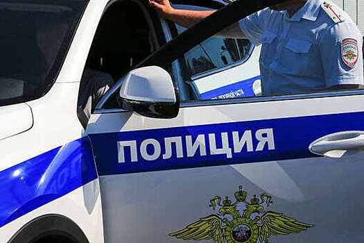 МВД: в Ингушетии разыскивают ОПГ, занимающуюся избиениями и грабежами