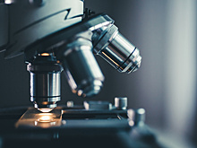 В петербургском Политехе открыли лабораторию термической обработки металлов. На металлургов растет спрос