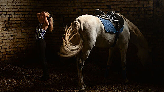Международный конный фестиваль пройдет в Подмосковье