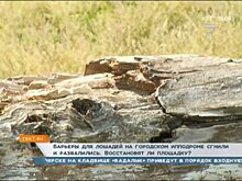 Спортсмены жалуются на разруху на красноярском ипподроме