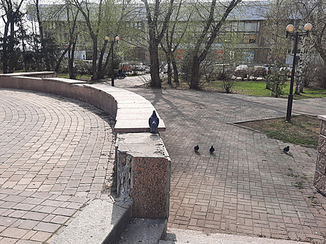 ОНФ добиваются благоустройства в Томске сквера у Речвокзала и восстановления памятника Шишкову