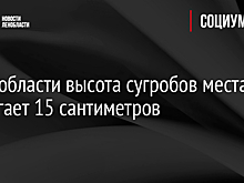 В Ленобласти высота сугробов местами достигает 15 сантиметров