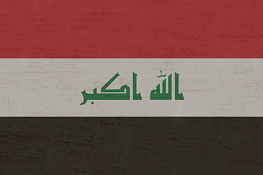 Глава МИД Ирака заявил об активизации боевиков ИГ* в стране