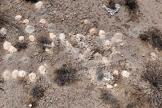 В пустыне Невады обнаружили сотни человеческих останков