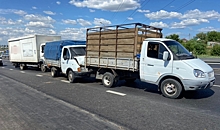 В Волгоградской области в ДТП с тремя грузовиками пострадал пешеход