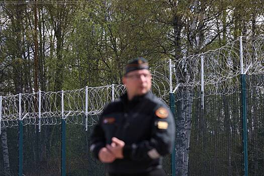 В Финляндии раскрыли детали строительства забора на границе с Россией