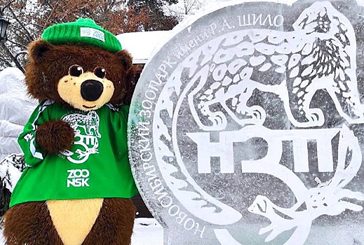 Впервые за полвека в Новосибирске родились горностаи