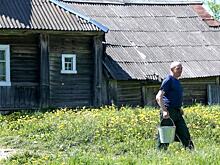 Карелия намерена увеличить количество "арктических гектаров" на 2 тыс. га