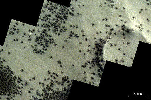 ЕКА: при смене сезонов Марс покрывают напоминающие пауков кляксы
