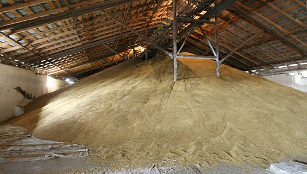 Украина "потеряла" 250 тысяч тонн зерна