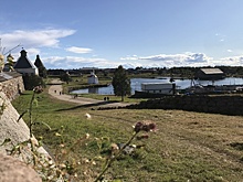 С волками жить: биологи назвали плюсы и минусы появления хищников на Соловках