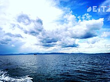 В пик сезона МТС ускорила интернет в бухте серферов и белых маков