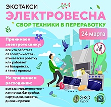 В Курске 24 марта состоится «Электровесна»