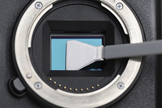 Как выбрать камеру для начинающего фотографа: простое руководство