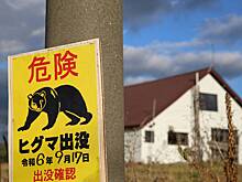 В Японии медведь растерзал знаменитого рефери