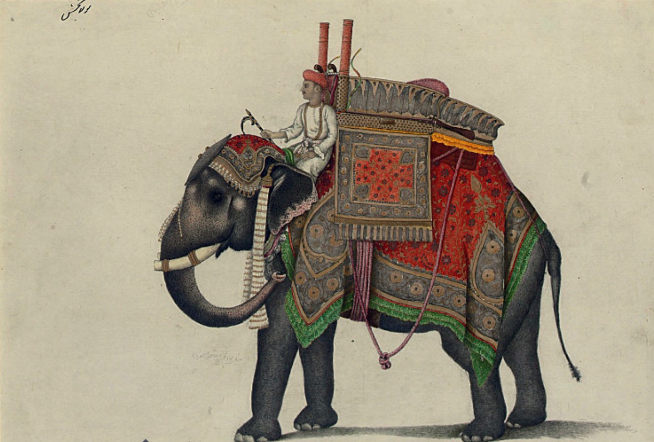 Правда или миф: боевые слоны в крестовых походах