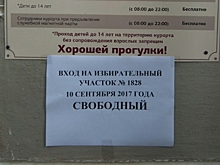 Явка в Новгородской области составила 27,6 процентов
