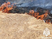 Пять природных пожаров за сутки произошли в Башкирии