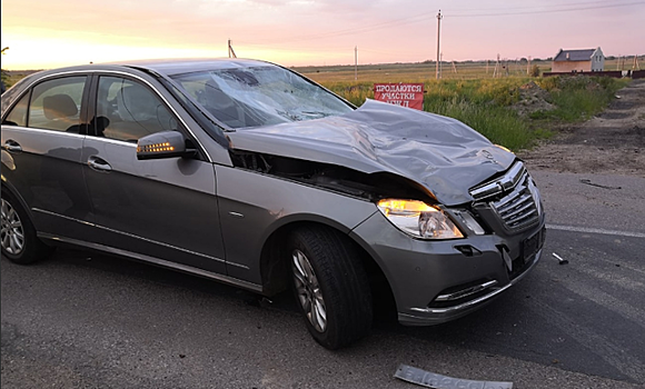 Под Калининградом под «Мерседесом» погибла корова