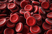 Можно ли человеку поменять группу крови?