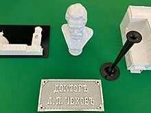 Тактильные 3D-модели экспонатов чеховских музеев впервые появились на Дону