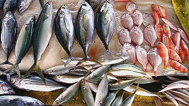 Самые опасные для здоровья виды рыбы