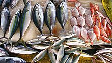 Самые опасные для здоровья виды рыбы