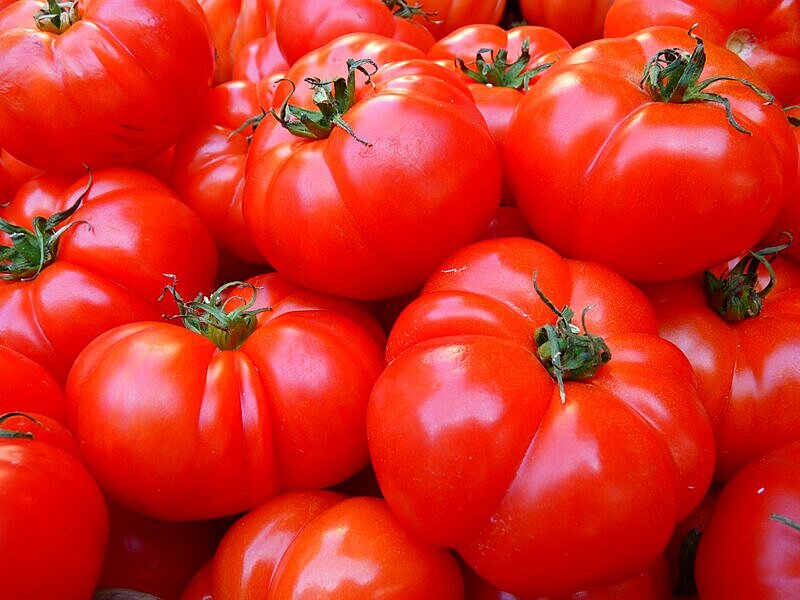 Названа опасность помидоров для здоровья человека