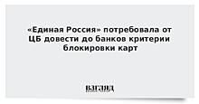 ЦБ прокомментировал возможную блокировку карт россиян из-за переводов