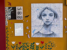 Красавица со словом «Новосибирск» на лбу восхитила жителей испанской Севильи